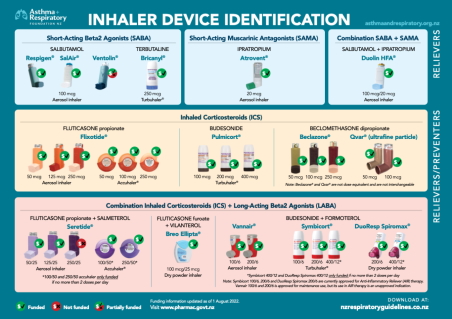 Asthma Inhaler Chart